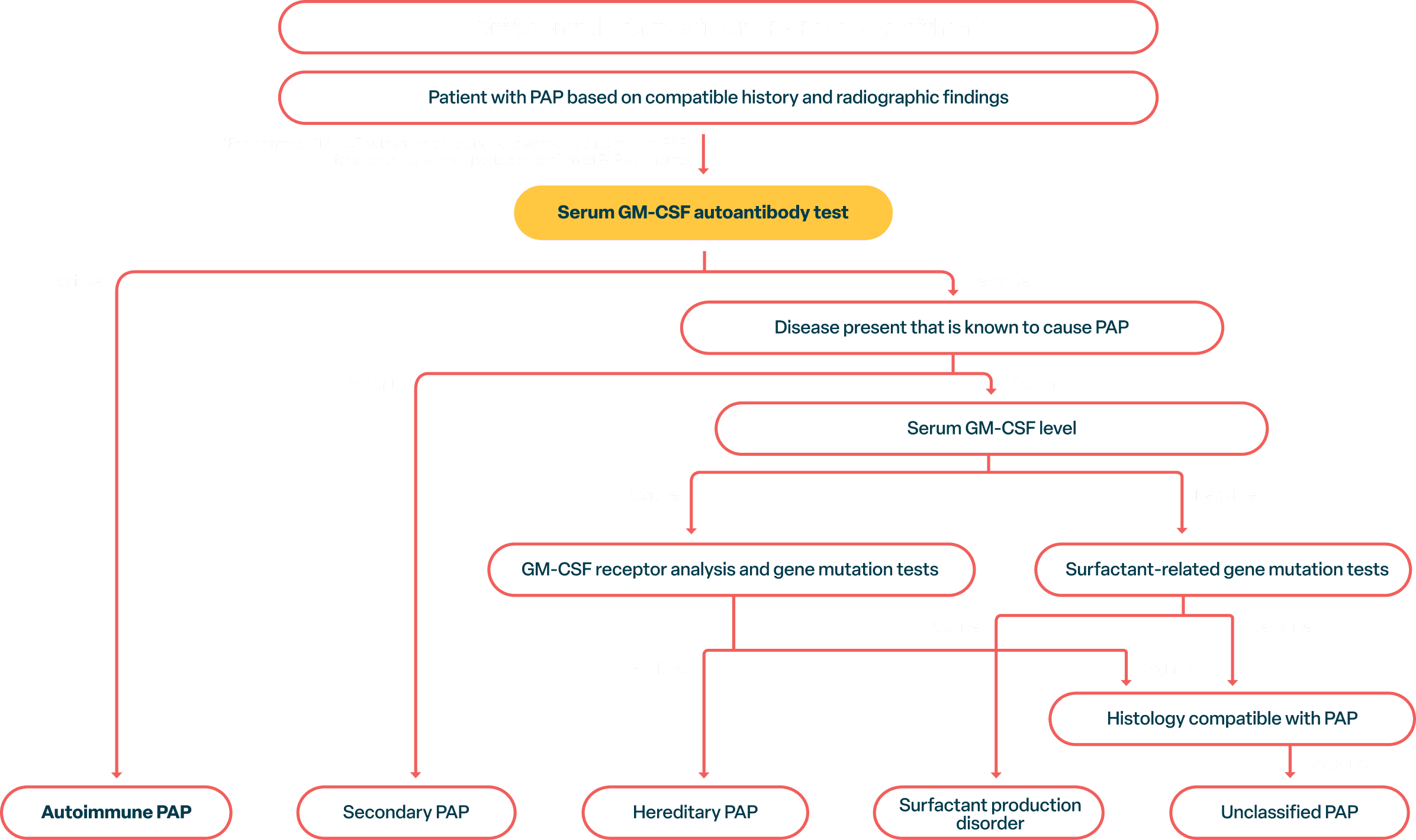 Algorithm shows only a GM-CSF autoantibody test identifies aPAP specifically. Other tests only identify other types of PAP