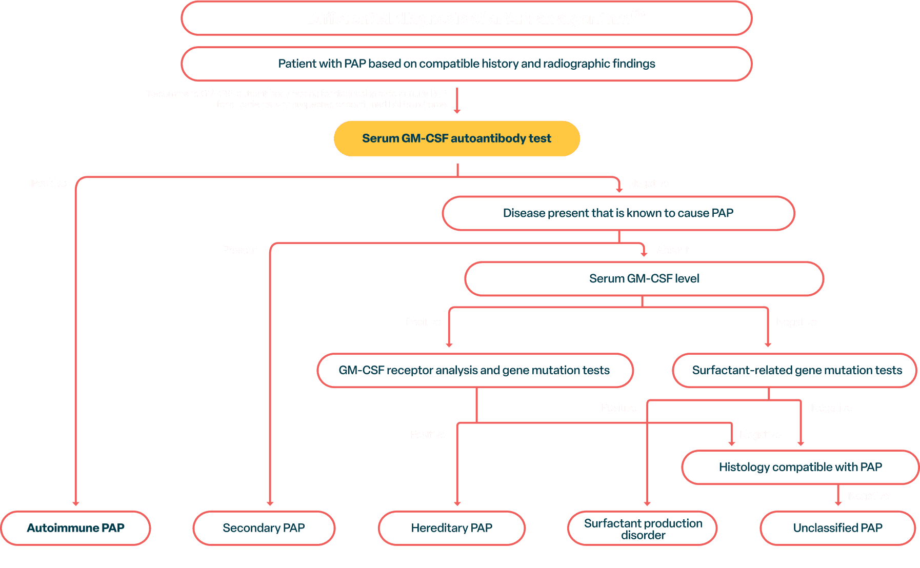 Algorithm shows only a GM-CSF autoantibody test identifies aPAP specifically. Other tests only identify other types of PAP