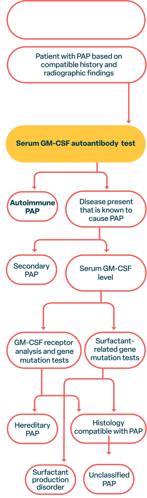 Algorithm shows only a GM-CSF autoantibody test identifies aPAP specifically. Other tests only identify other types of PAP